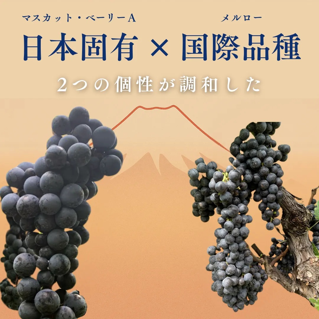 Shizen AKAFUJI Reserve（シゼン アカフジ リザーブ）
