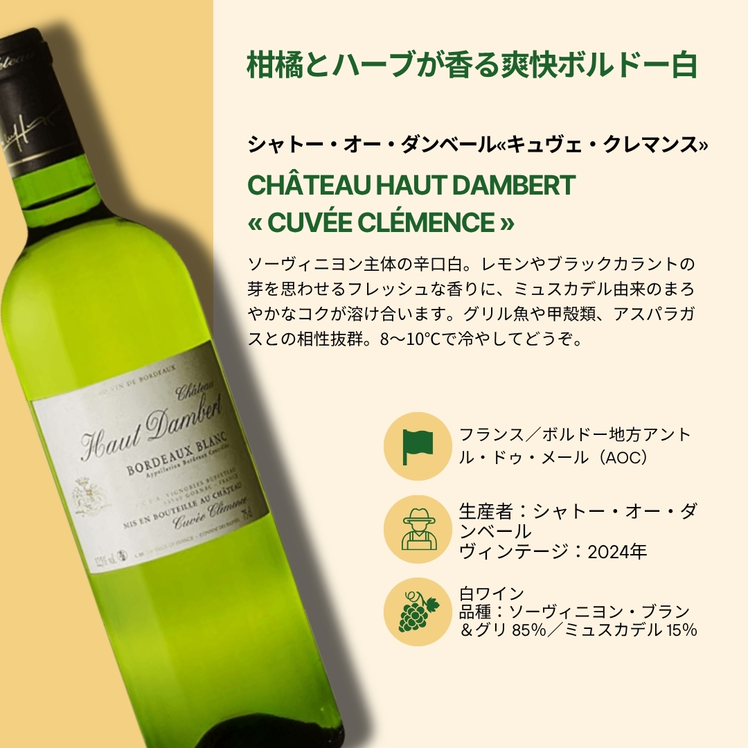 【12本セット Villages du Monde 2＆3】＜ワインの“今”がわかる、12本。＞