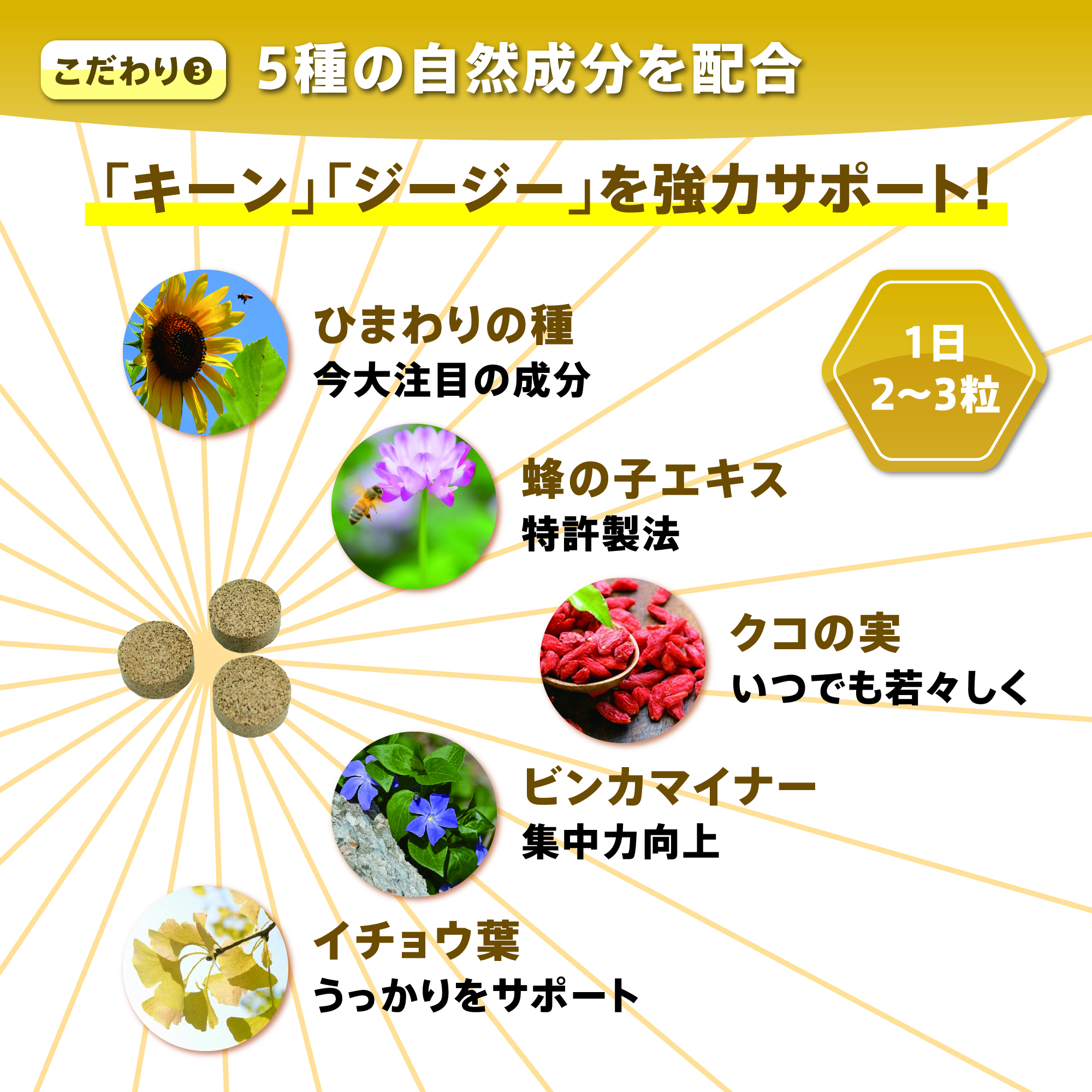 ひまわりの力 きんいん毎月届く定期便 1袋 01