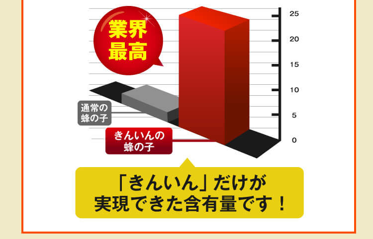 楽天ランキング1位