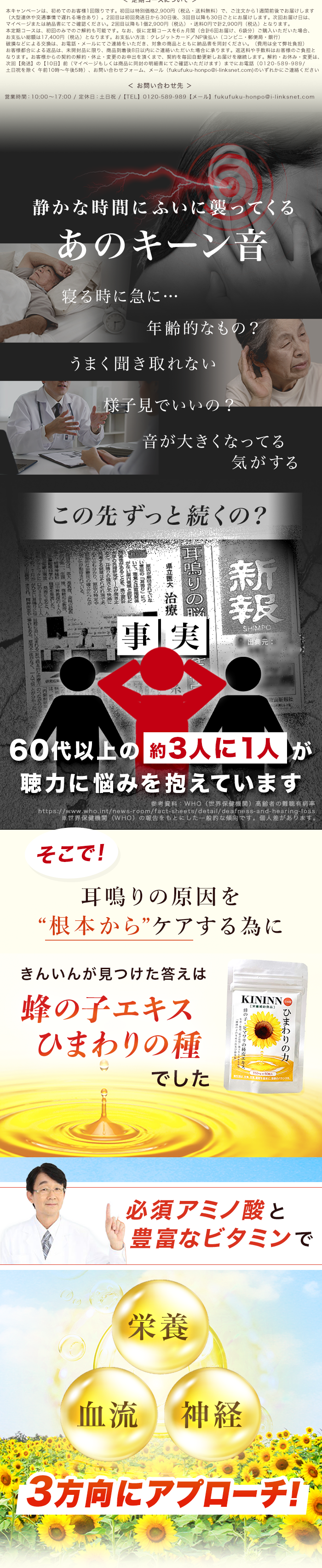 コンテンツ部分