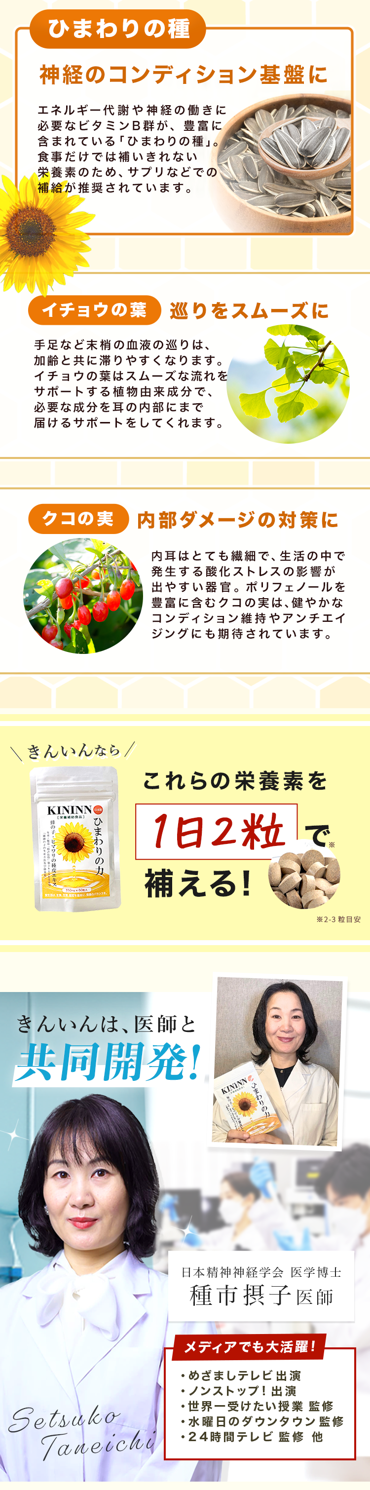 コンテンツ部分