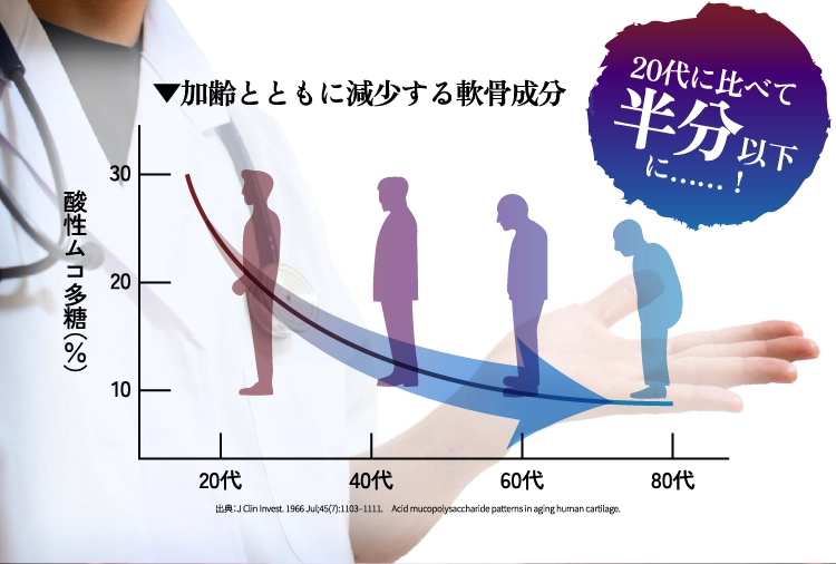 ▼加齢とともに減少する軟骨成分　20代に比べて半分以下に……！