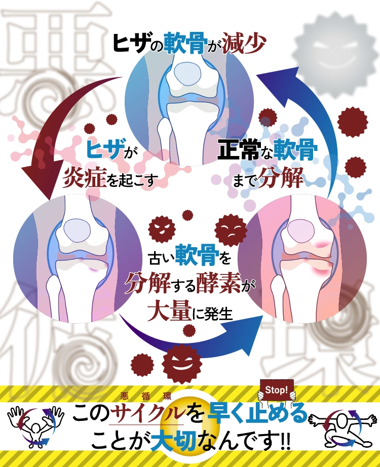 ヒザの軟骨が減少　ヒザが炎症を起こす　古い軟骨を分解する酵素が大量に発生　正常な軟骨まで分解　このサイクルを早く止めることが大切なんです!!