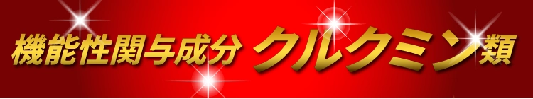 機能性関与成分 クルクミン類