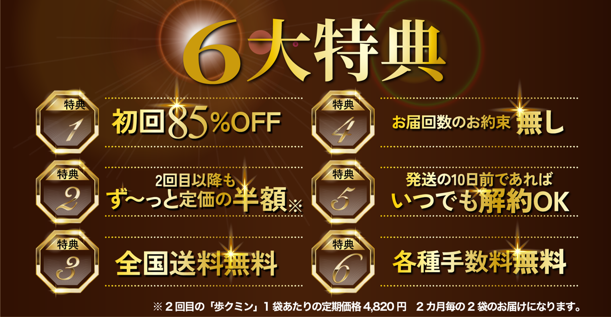 6大特典　特典1 初回75%OFF　特典2 2回目以降もず〜っと定価の半額　特典3 全国送料無料　特典4 お届回数のお約束 無し　特典5 発送の10日前であればいつでも解約OK　特典6 各種手数料無料