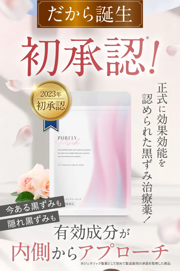 だから誕生、初承認