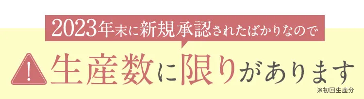 生産数に限りがあります