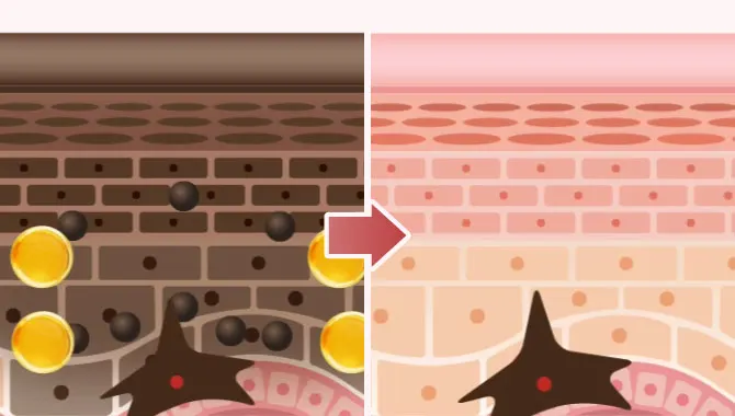 アスコルビン酸がメラニンの根本に働きかけ脱色