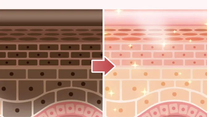 メラニンの排出を促進