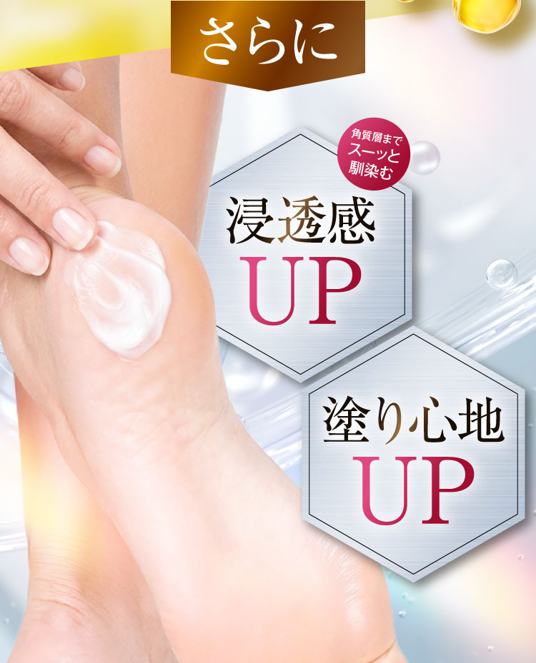 商品紹介画像