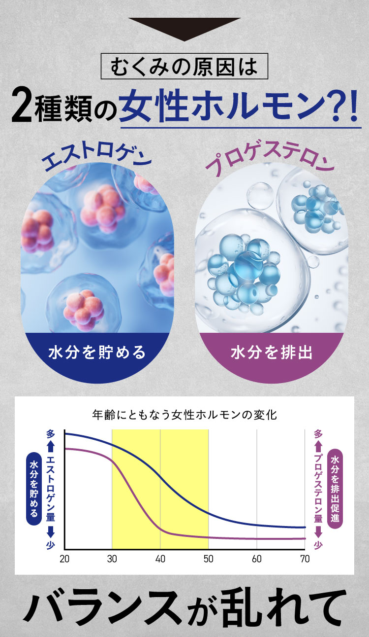 商品紹介画像