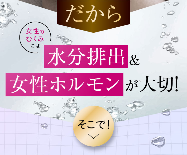 商品紹介画像