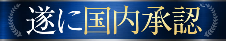 商品紹介画像