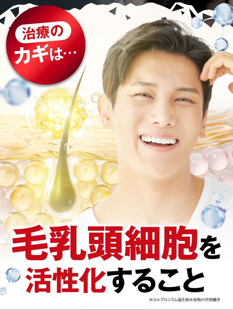 毛乳頭細胞を活性化