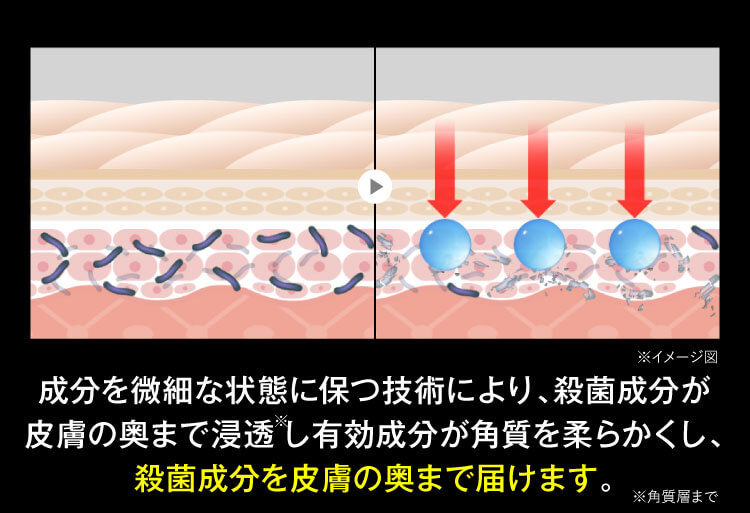 浸透殺菌図｜カカるるん