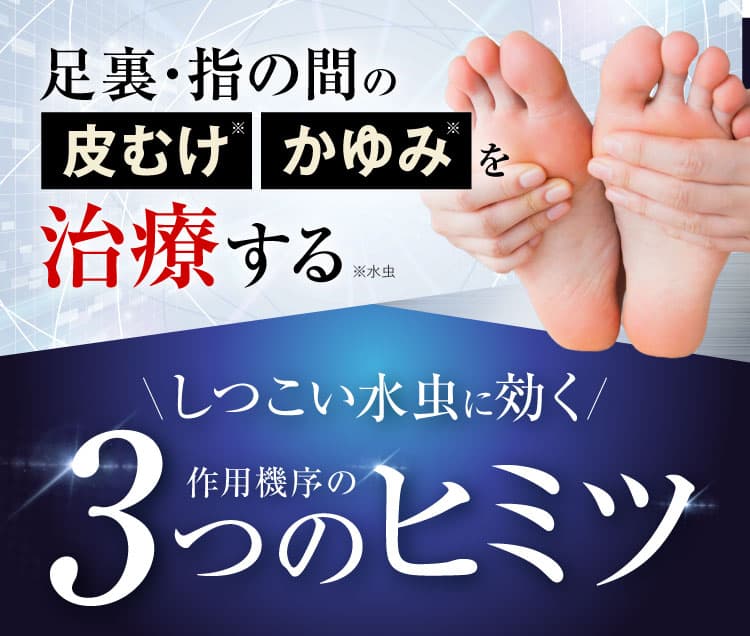 3つの作用が認められたカカるるん｜カカるるん