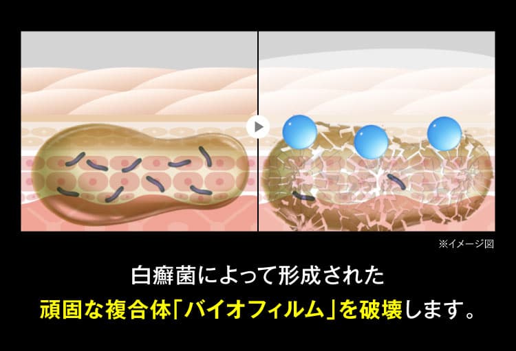 バイオフィルム破壊図｜カカるるん