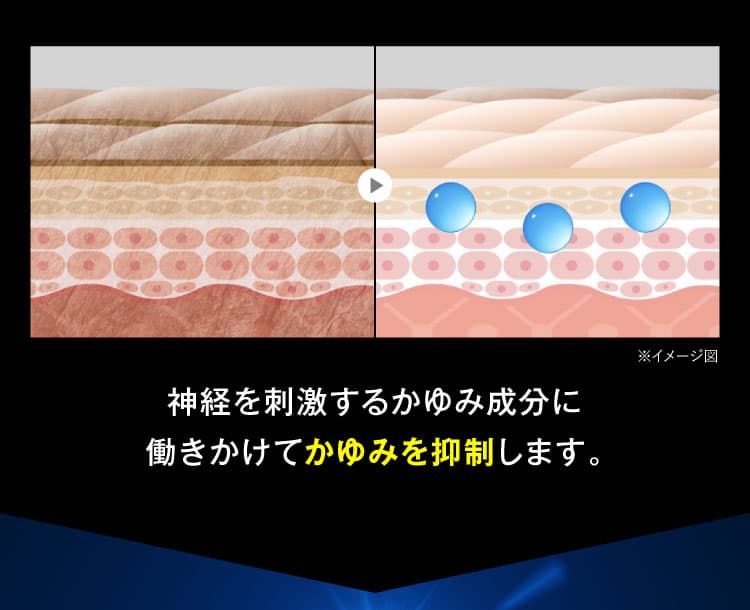 かゆみ抑制図｜カカるるん