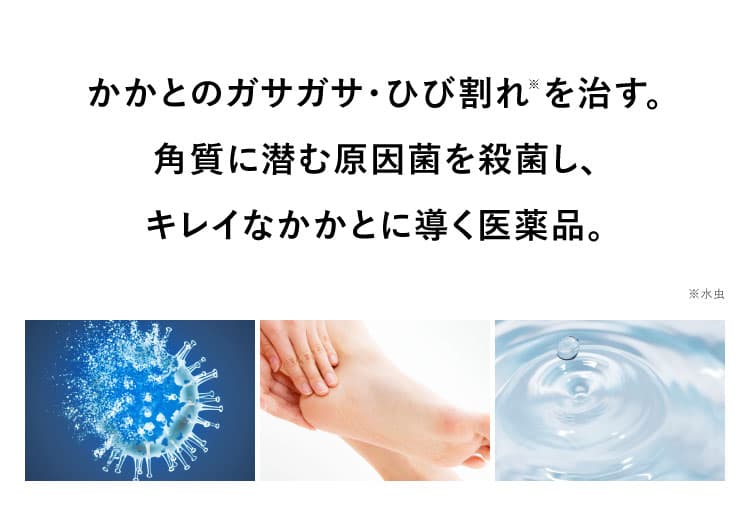 うるおい因子をギュッと配合！スーッと浸透｜カカるるん