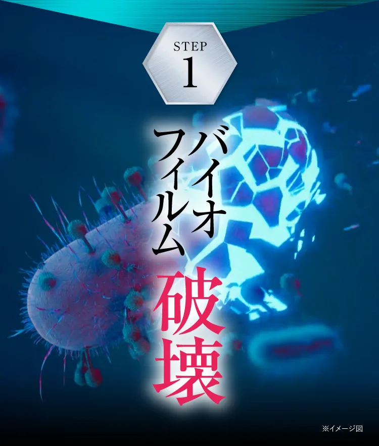 バイオフィルム破壊｜カカるるん