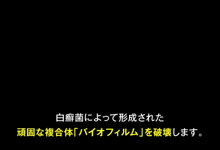 白癬菌によって形成された頑固なバイオフィルムを破壊します｜カカるるん