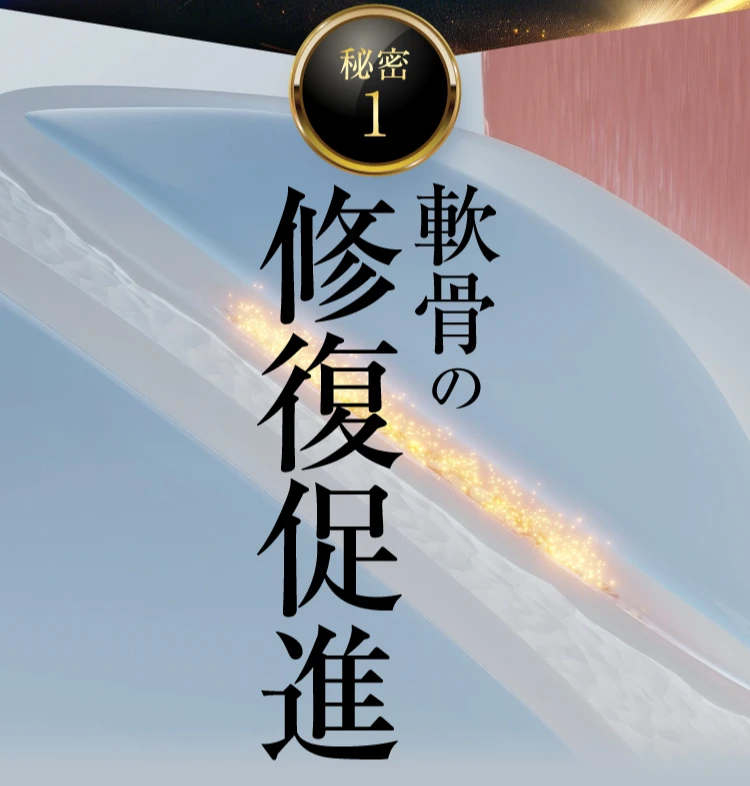 軟骨成分合成