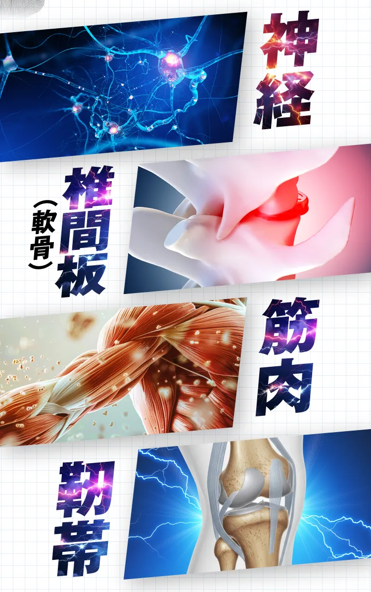 4原因図解｜カンシャ