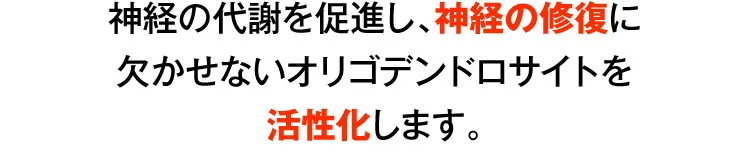 神経修復の説明｜カンシャ