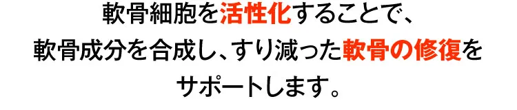 軟骨修復の説明｜カンシャ
