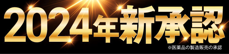 2024年新承認