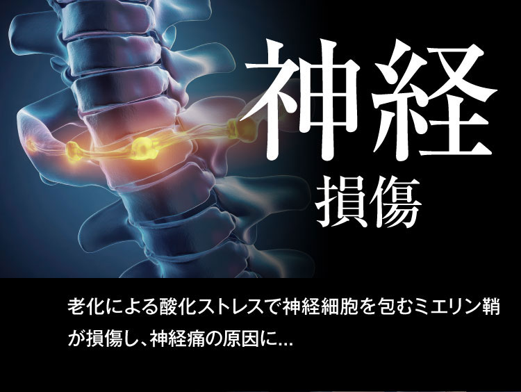 神経