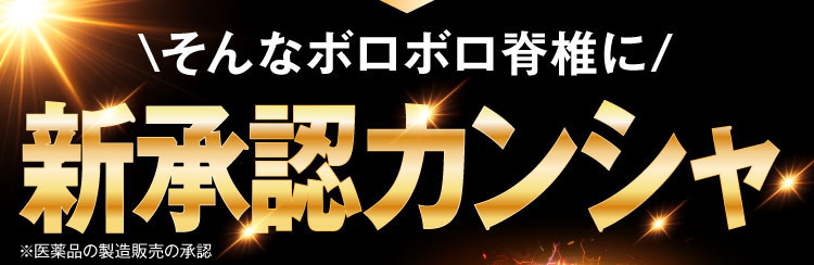 新承認カンシャ