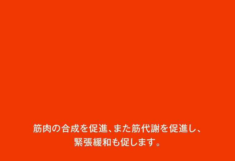衰えた筋肉の合成を促進