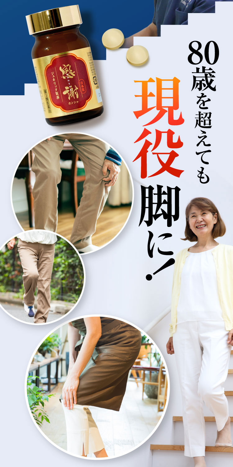 現役膝に