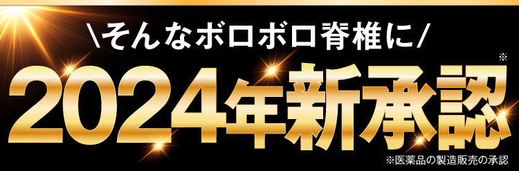 そこで！2024年新承認
