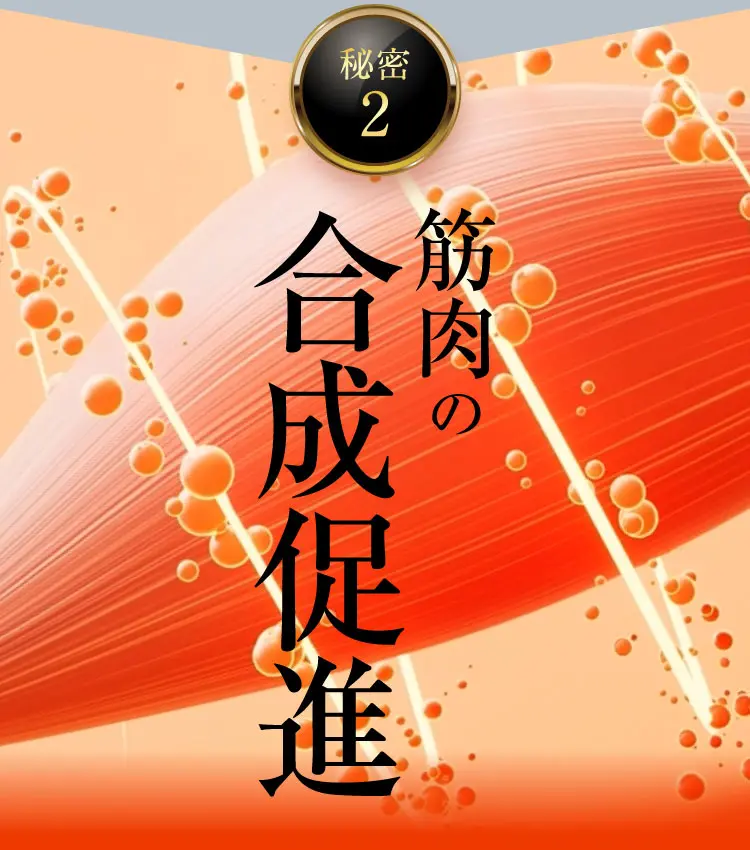 衰えた筋肉の合成を促進