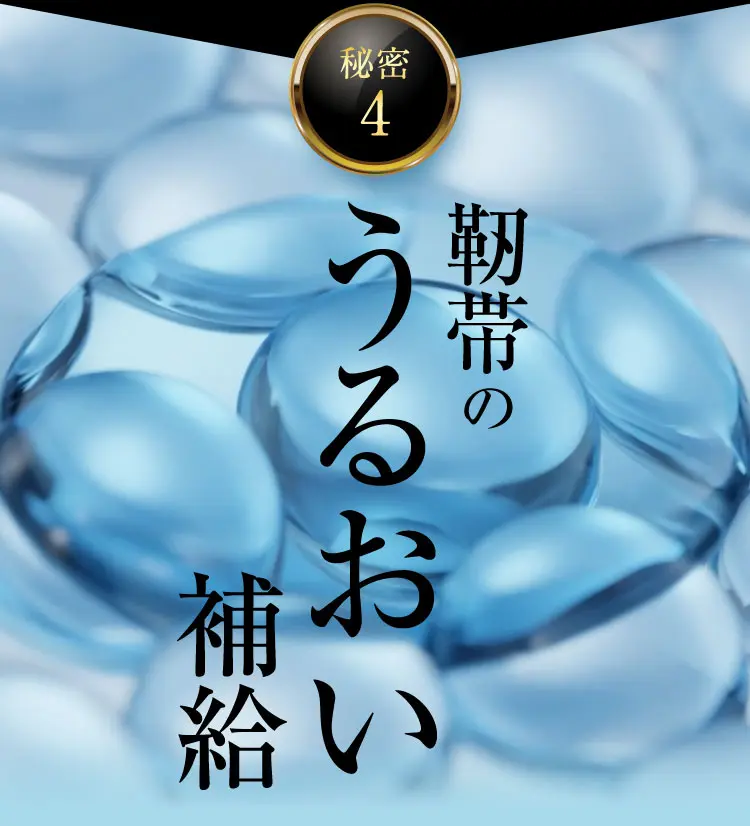 靭帯のうるおい補給