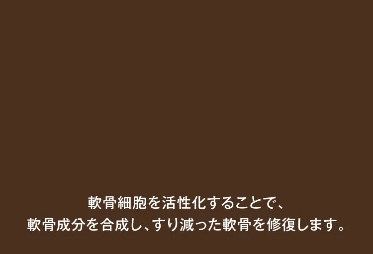 軟骨成分を合成し、すり減った軟骨を修復