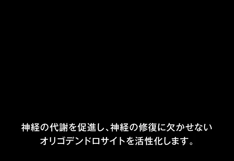 神経の代謝促進