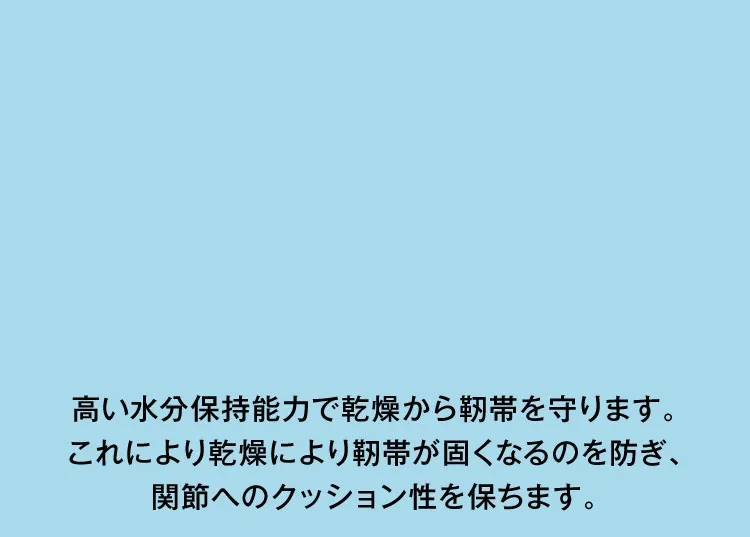 水分保持能力で、靭帯を乾燥から守ります