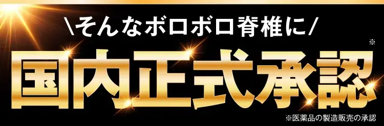 正式承認カンシャ