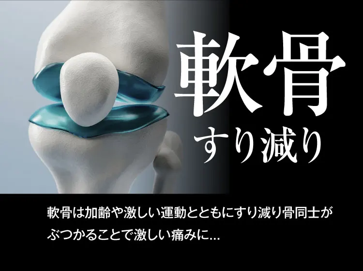 軟骨