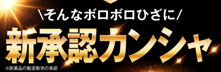 新承認カンシャ