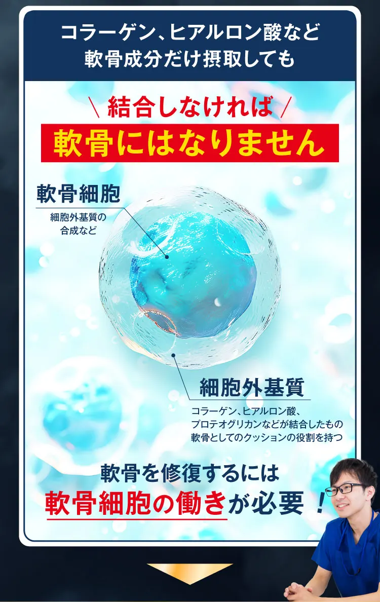 軟骨にはなりません