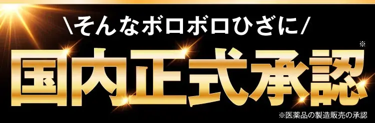 国内正式承認カンシャ