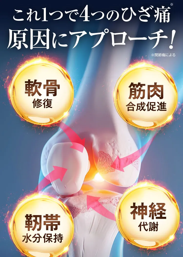 様々なひざ痛原因にアプローチ！