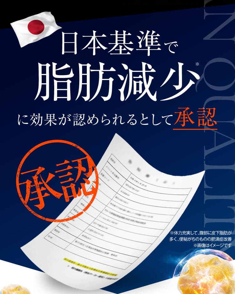 リポジャロ