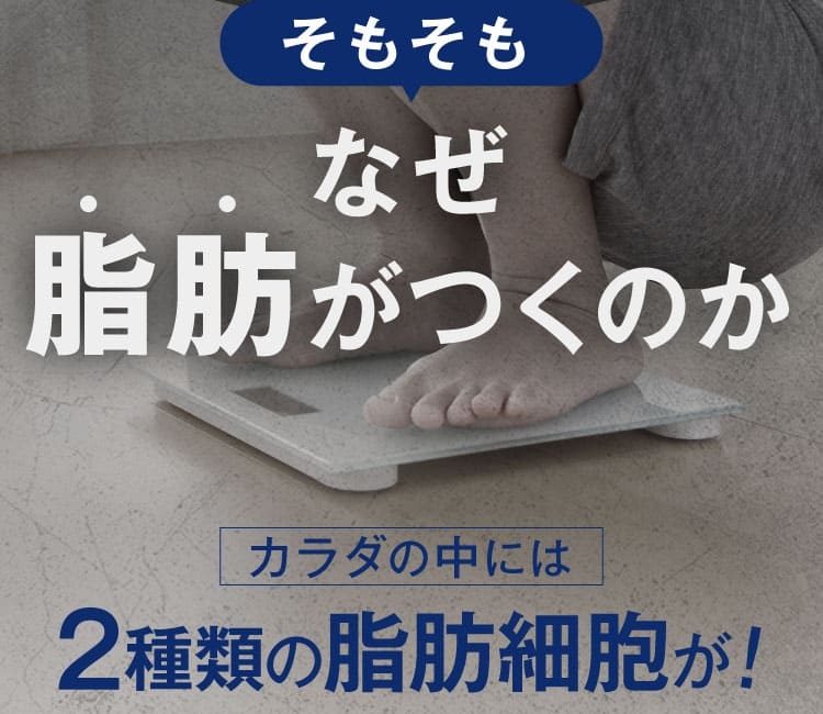 リポジャロ