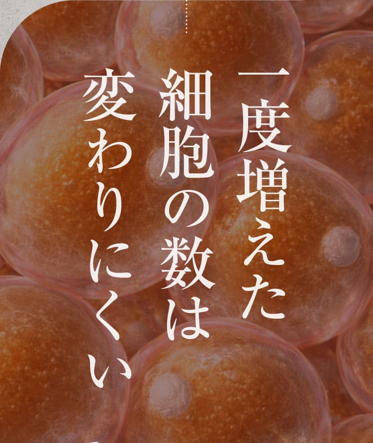 リポジャロ